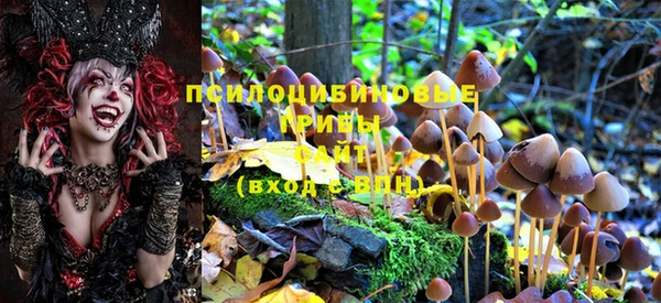 ешки Балахна