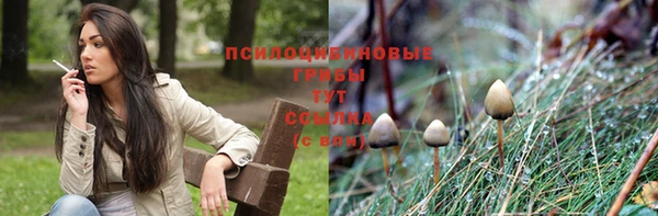 ешки Балахна